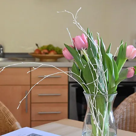 Ferienwohnung-11-fuer-4-personen-strandnah-in-sellin-auf-ruegen-villa-celia-wlan-sauna Lejlighed Sellin (Rugen)